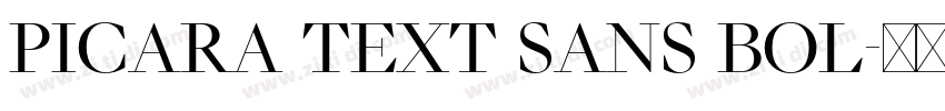 Picara Text Sans Bol字体转换 Picara Text Sans Bol字体转换